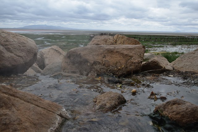 Parc national du lac Manyara