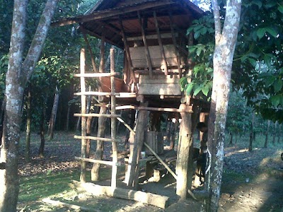 Photos of Masjid Miftahul Jannah Desa Dangku