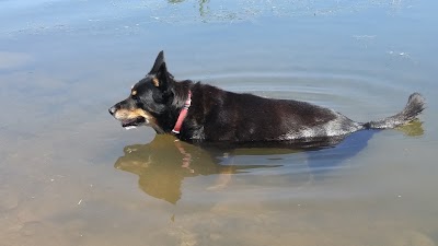 Photos of Willow Creek Park