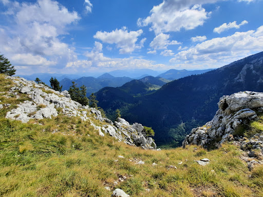 Salwand - Visual