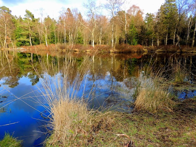 AQUA Aquarium & Wildlife Park