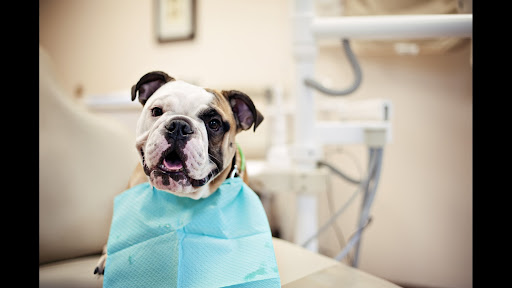 Nathan Berry, DMD | Dentist in West Hartford, CT - West Hartford Dental Associates