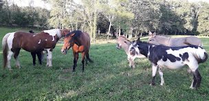 Photo n°12 de Centre HarmoniA - Bien-être et respect du Vivant à Gan (Centre de formation)