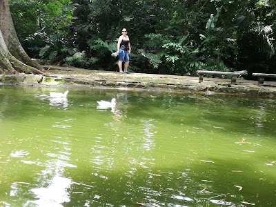 Photos of Botanical Orchid Garden La Garita