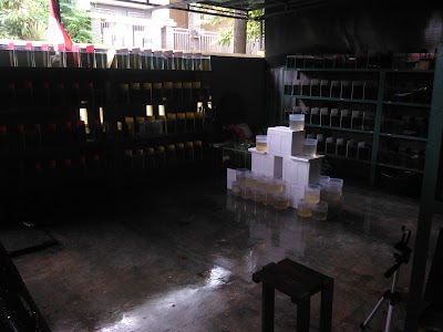 shopping-mall