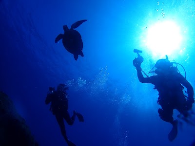 横浜ダイビングショップ トリトン