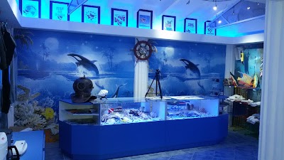 Photos of Mermaid Dive Center Aruba