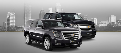 Nice Limousines - Visual