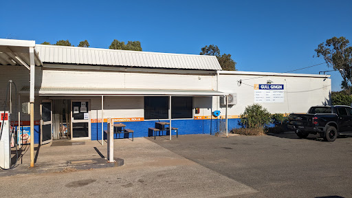 Gull Gingin - Thumbnail