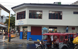 Libreria Roicer 2