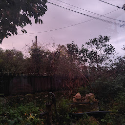 Photo n°9 de La maison bleue de Husseau à Montlouis-sur-Loire (Maison de vacances)