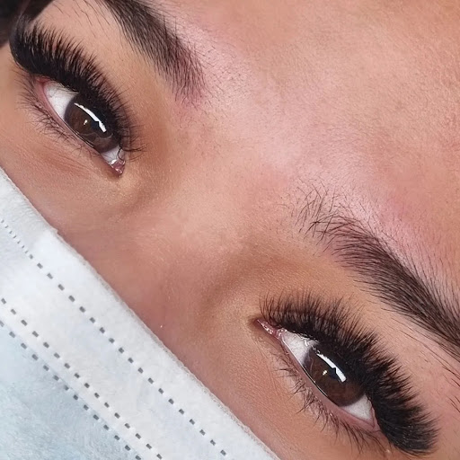 Lash Suite - Visual