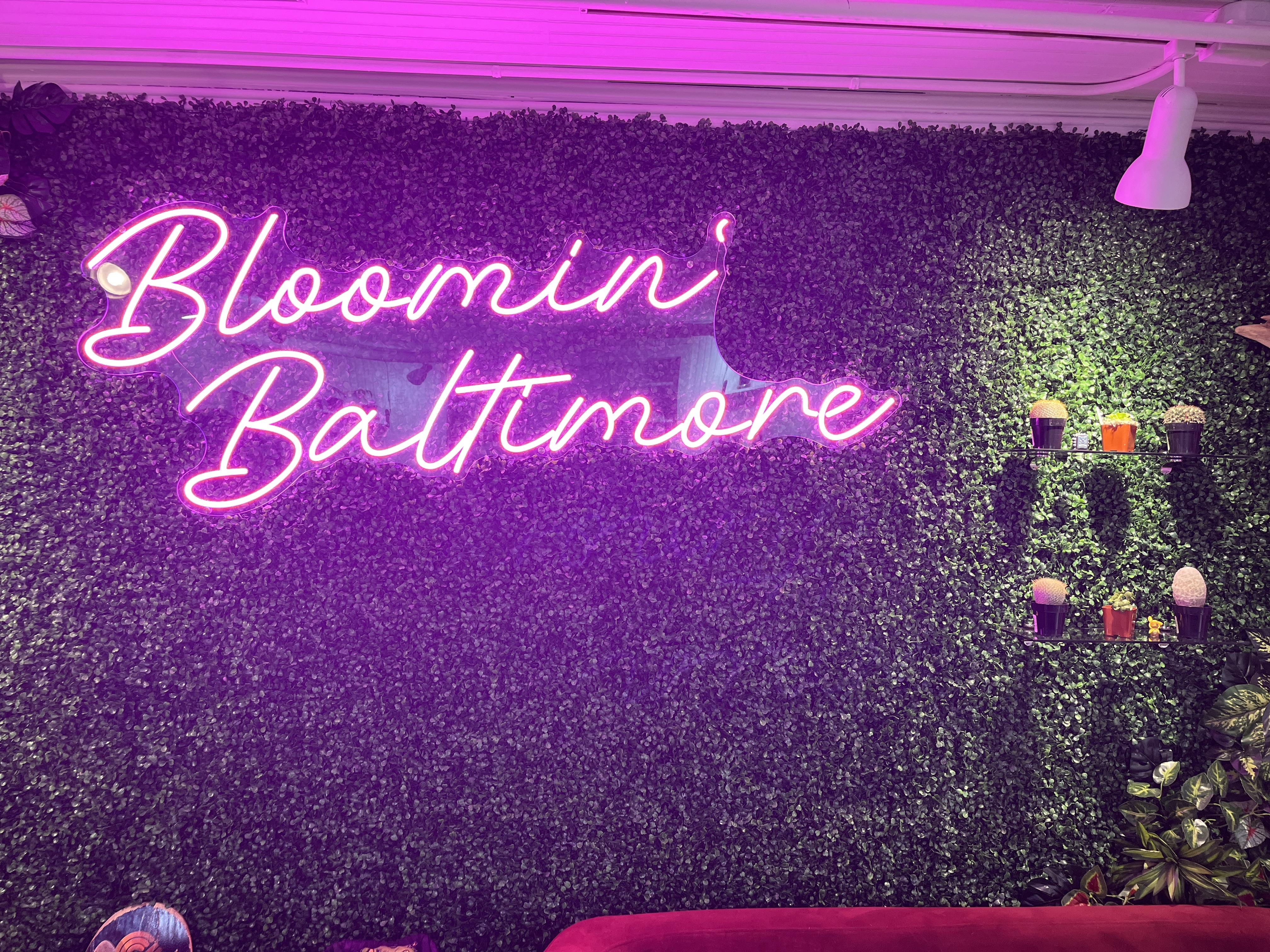 Bloomin’ Baltimore