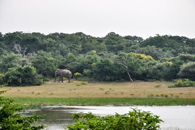 Photos of Yala National Park යාල ජාතික වනෝද්&zwj;යානය