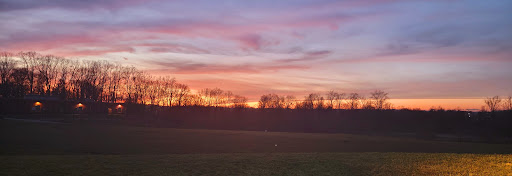 Graybeal Fields - Visual
