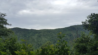 Photos of Jones Gap State Park