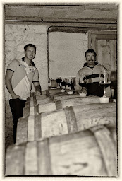 Photo n°5 de VIGNOBLES CHIRAT à Saint-Michel-sur-Rhône (Vignoble)