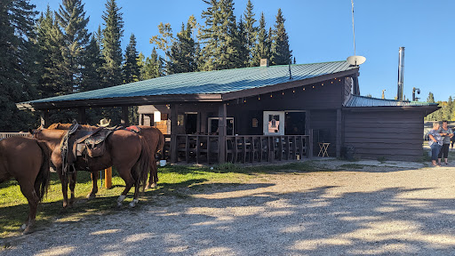 Bearberry Saloon Bar & Grill - Thumbnail