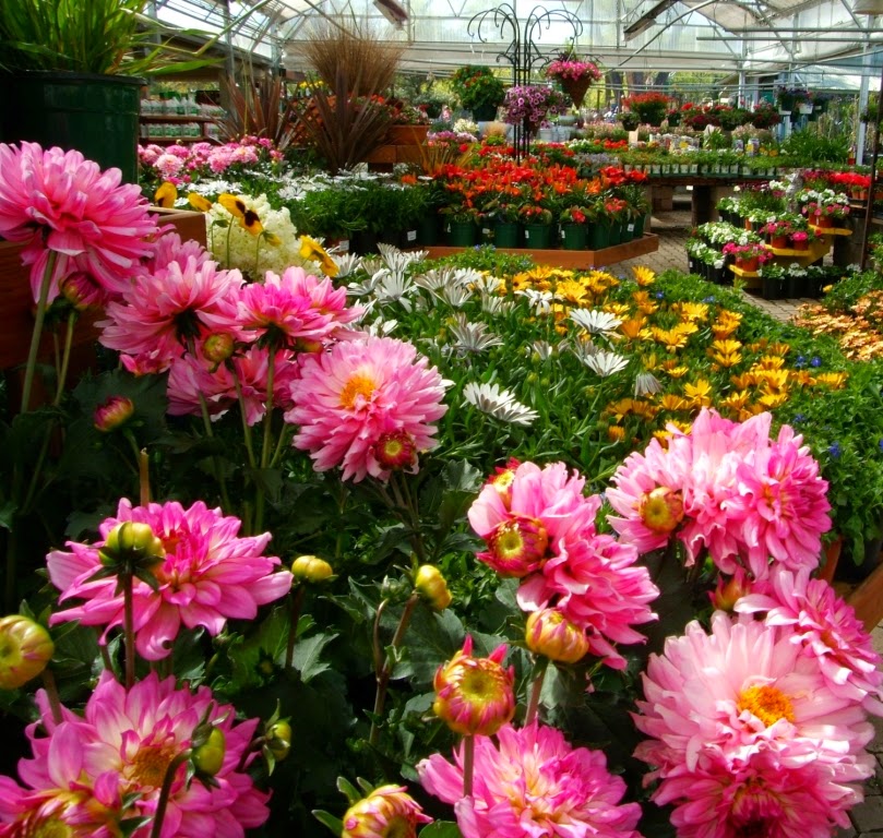 Watters Garden Center