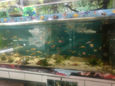 Photos of Acuario Amazona y Veterinaria Lancelot