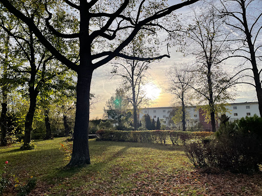 Friedhof Eisackstraße - Thumbnail