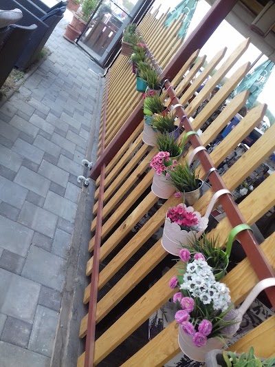 Photos of Slatkara Zenska Plaza