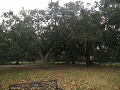 Labyrinth in Audubon Park