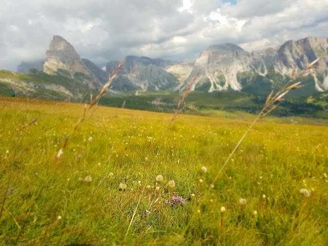 Funivie Seceda