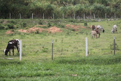 Photos of Serra das Araras