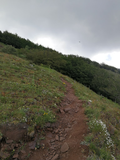 Monte Lama - Visual