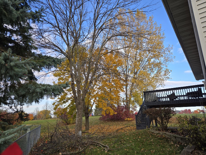 Full Circle Tree Removal LLC