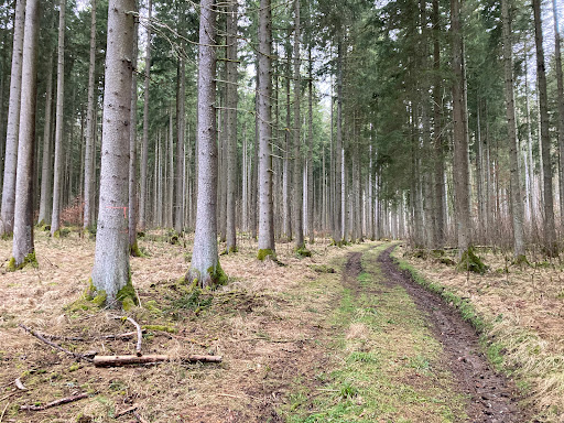 Rauhe Steige Nature Reserve