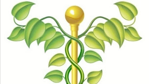 Photo n°17 de Cabinet de naturopathie, de réflexologie et massages haut de gammes,sevrage tabagique par auriculothérapie à Forbach (Naturopathe)