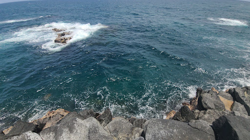 Trail head to Wyllie's Beach Gallery - United States