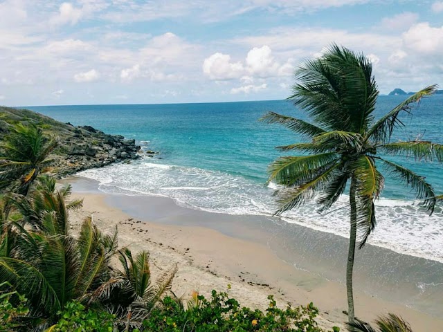 Petite Anse Hotel