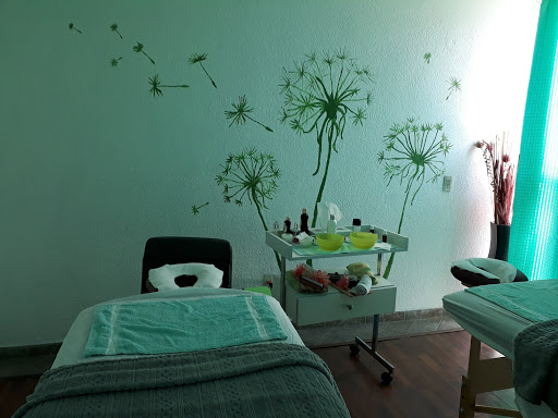 SPA MISOL HA
