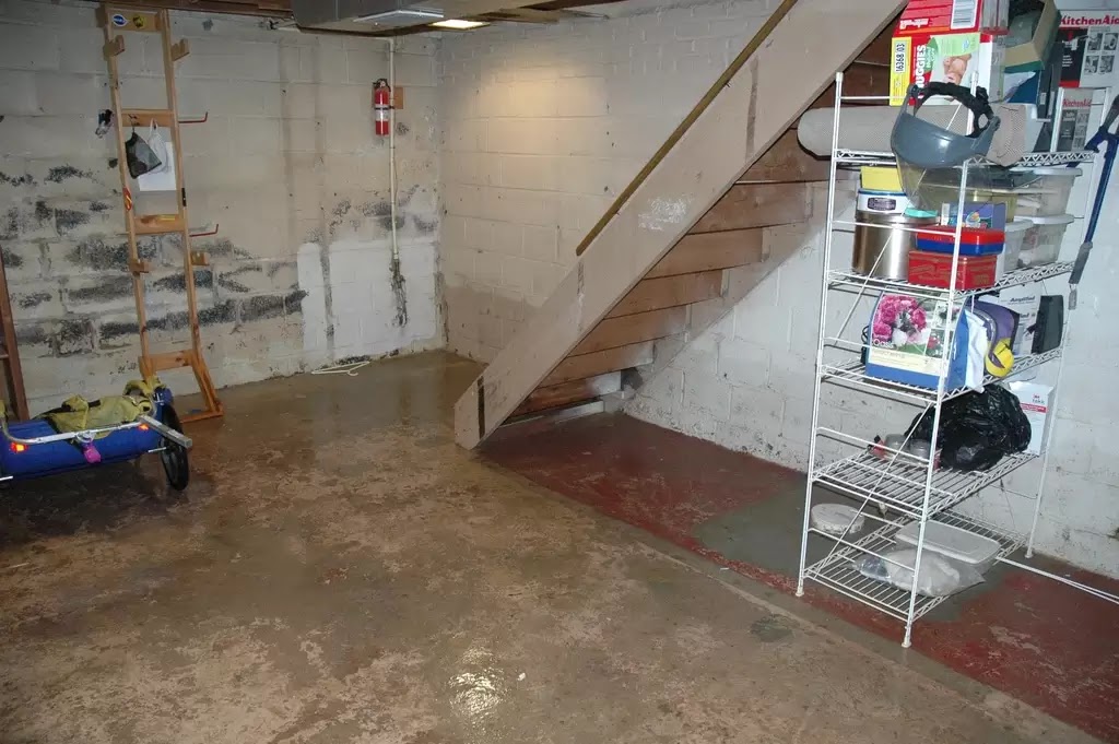 Luxar Water Damage Pros photo