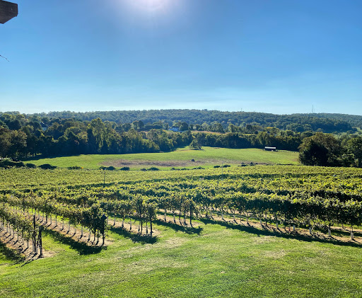 Mediterranean Cellars, LLC. - Thumbnail
