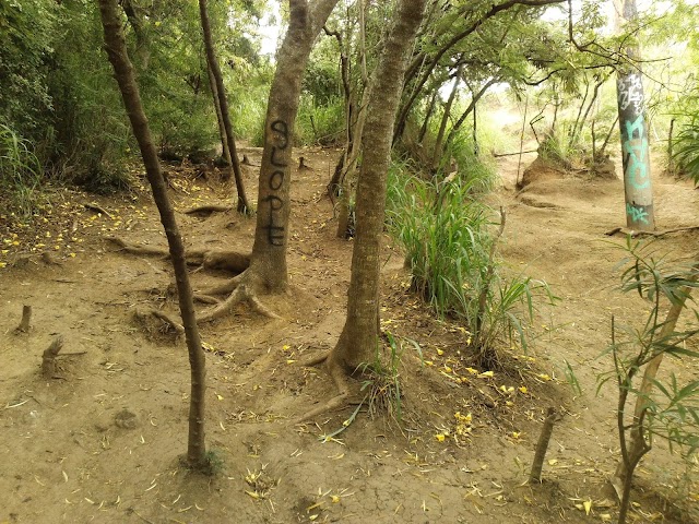 Pillbox Hike