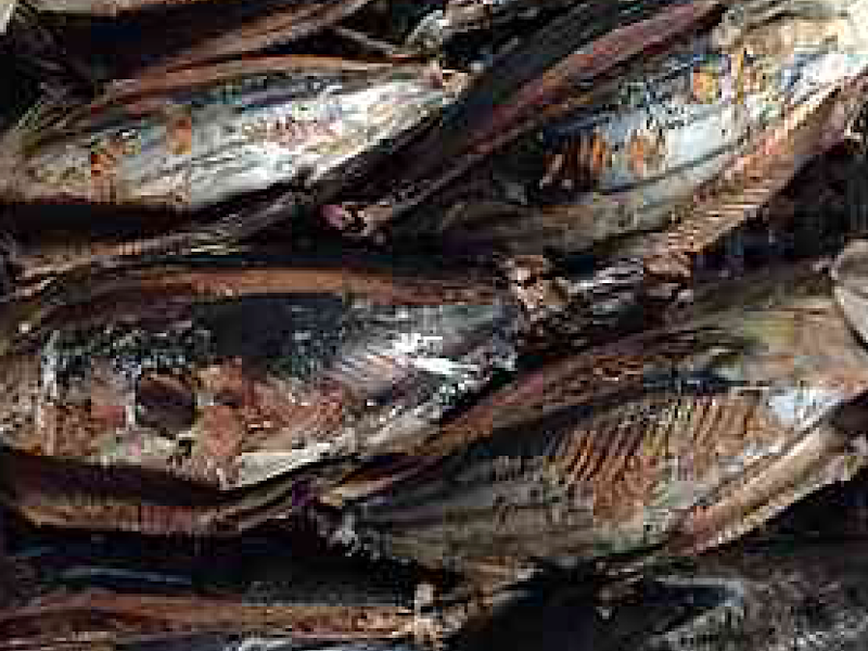 （株）マルヒ平田商店 工場 【鰹節/削り節/厚削り/サバ節/釣餌/ラーメン】