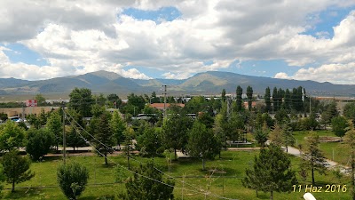 Photos of Nigde City Forest