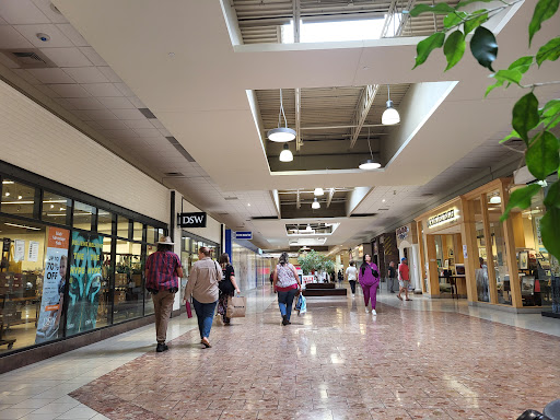 Champlain Centre - Visual