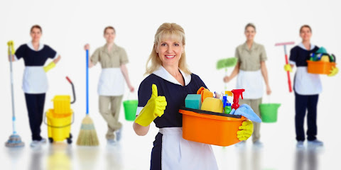 ВЕСТА - Професионално почистване