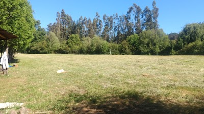 Photos of Camping los &Aacute;lamos