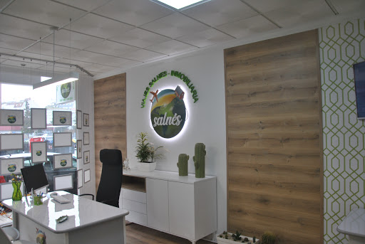 Inmobiliarias SALNES Gallery - Spain