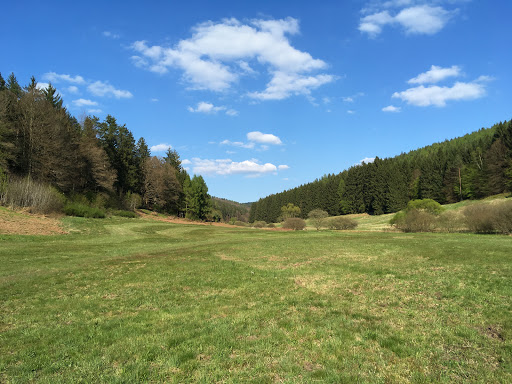 Tourismusverband Spessart-Mainland - Thumbnail