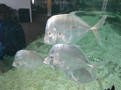 Photos of Kattegat Center