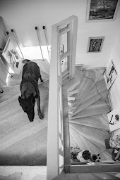 Photo n°19 de L'Arbre de Vie, maison d'hôtes à Menton (Hébergement)