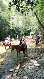 Photo n°20 de Ecole d'Equitation de la Colle sur Loup à La Colle-sur-Loup (Centre équestre)