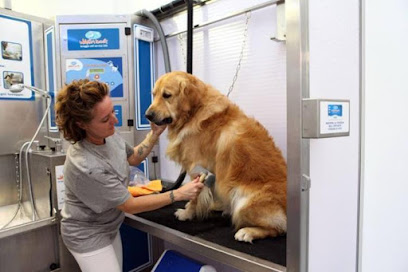 WASHDOG MILANO SANTA GIULIA LAVAGGIO CANI SELF SERVICE